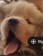 say AHHHHHH